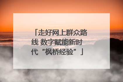 走好网上群众路线 数字赋能新时代“枫桥经验”