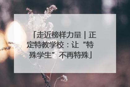 走近榜样力量｜正定特教学校：让“特殊学生”不再特殊