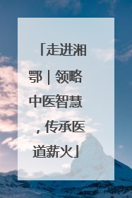 走进湘鄂｜领略中医智慧，传承医道薪火