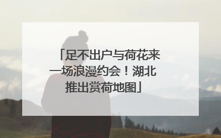 足不出户与荷花来一场浪漫约会！湖北推出赏荷地图