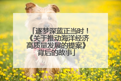 逐梦深蓝正当时！《关于推动海洋经济高质量发展的提案》背后的故事