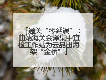 通关“零延误”：曲靖海关会泽集中查检工作站为云品出海架“金桥”