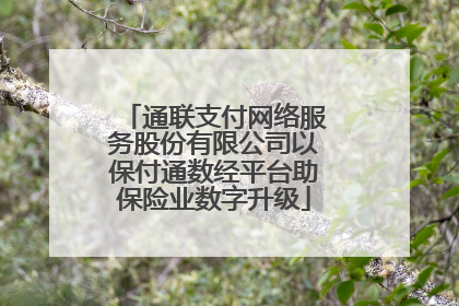 通联支付网络服务股份有限公司以保付通数经平台助保险业数字升级