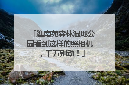 逛南苑森林湿地公园看到这样的照相机，千万别动！