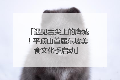 遇见舌尖上的鹰城！平顶山首届东坡美食文化季启动