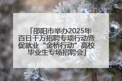 邵阳市举办2025年百日千万招聘专项行动暨促就业“金桥行动”高校毕业生专场招聘会