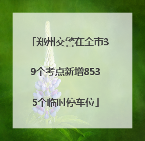 郑州交警在全市39个考点新增8535个临时停车位