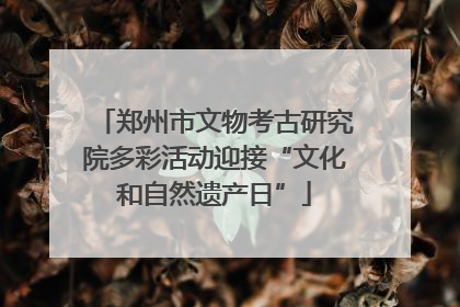 郑州市文物考古研究院多彩活动迎接“文化和自然遗产日”