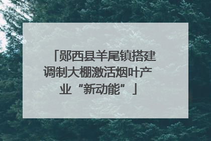 郧西县羊尾镇搭建调制大棚激活烟叶产业“新动能”