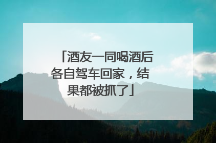 酒友一同喝酒后各自驾车回家，结果都被抓了