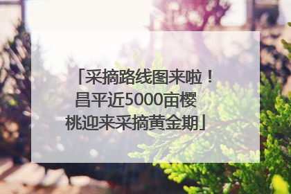 采摘路线图来啦！昌平近5000亩樱桃迎来采摘黄金期