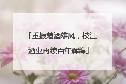 重振楚酒雄风，枝江酒业再续百年辉煌