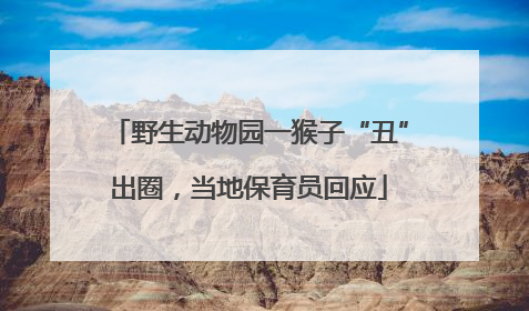 野生动物园一猴子“丑”出圈，当地保育员回应