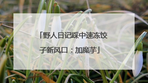 野人日记踩中速冻饺子新风口：加魔芋
