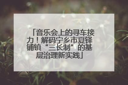 音乐会上的寻车接力！解码宁乡市夏铎铺镇“三长制”的基层治理新实践