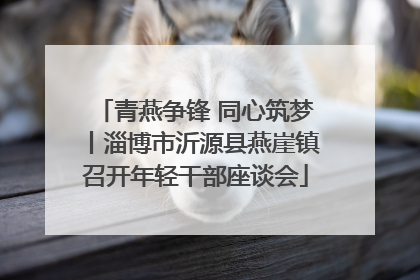 青燕争锋 同心筑梦丨淄博市沂源县燕崖镇召开年轻干部座谈会
