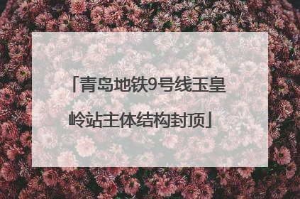 青岛地铁9号线玉皇岭站主体结构封顶