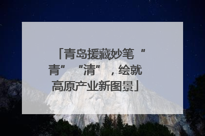 青岛援藏妙笔“青”“清”，绘就高原产业新图景