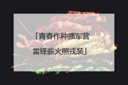 青春作种播军营 雷锋薪火照戎装