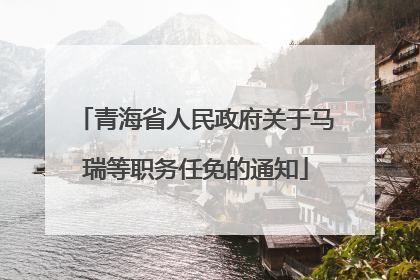 青海省人民政府关于马瑞等职务任免的通知