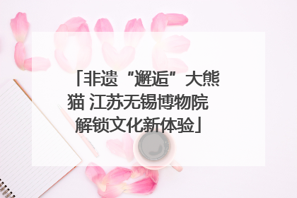 非遗“邂逅”大熊猫 江苏无锡博物院解锁文化新体验