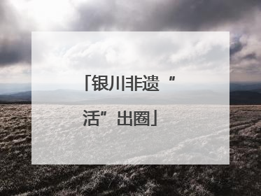 银川非遗“活”出圈