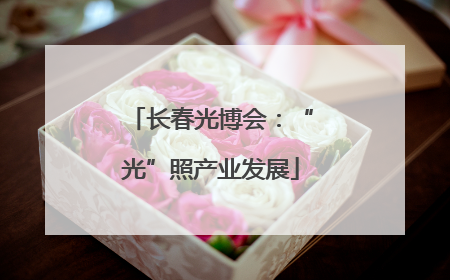 长春光博会：“光”照产业发展