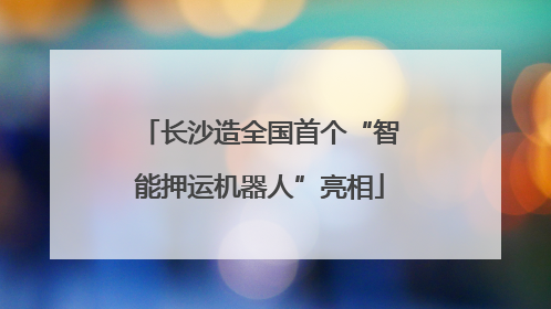 长沙造全国首个“智能押运机器人”亮相