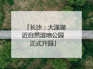 长沙：大泽湖近自然湿地公园正式开园