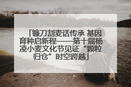 镰刀割麦话传承 基因育种启新程——第十届杨凌小麦文化节见证“颗粒归仓”时空跨越
