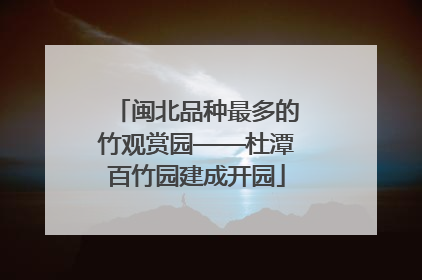 闽北品种最多的竹观赏园——杜潭百竹园建成开园