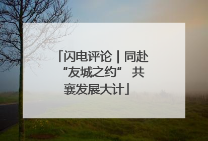 闪电评论｜同赴“友城之约” 共襄发展大计
