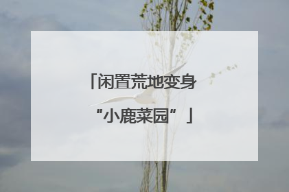 闲置荒地变身“小鹿菜园”
