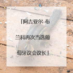 阿吉亚尔-布兰科再次当选葡萄牙议会议长