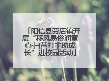 阳信县劳店镇开展“移风易俗润童心·扫黄打非助成长”进校园活动