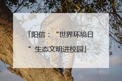 阳信：“世界环境日”生态文明进校园