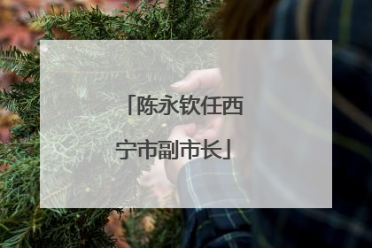 陈永钦任西宁市副市长