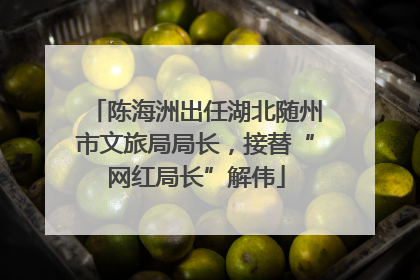 陈海洲出任湖北随州市文旅局局长，接替“网红局长”解伟