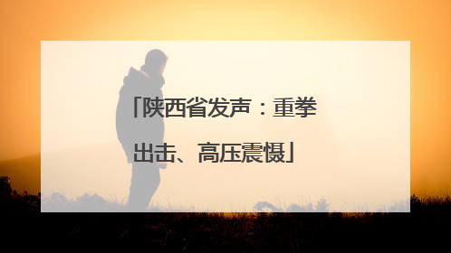 陕西省发声：重拳出击、高压震慑