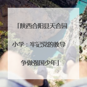 陕西合阳县天合园小学：牢记党的教导 争做强国少年