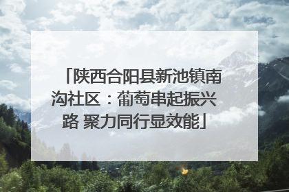 陕西合阳县新池镇南沟社区：葡萄串起振兴路 聚力同行显效能