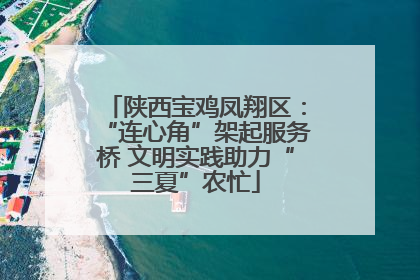 陕西宝鸡凤翔区：“连心角”架起服务桥 文明实践助力“三夏”农忙