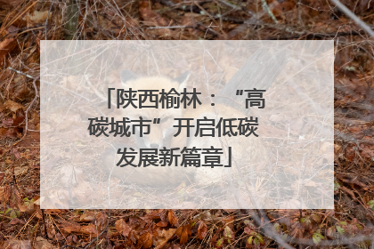 陕西榆林：“高碳城市”开启低碳发展新篇章