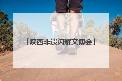 陕西非遗闪耀文博会