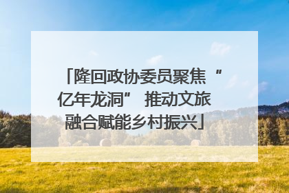 隆回政协委员聚焦“亿年龙洞” 推动文旅融合赋能乡村振兴
