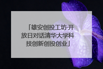 雄安创投工坊·开放日对话清华大学科技创新创投创业