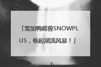 雪加鸭嘴兽SNOWPLUS，卷起潮流风暴！