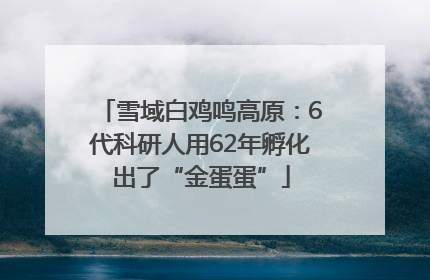 雪域白鸡鸣高原：6代科研人用62年孵化出了“金蛋蛋”