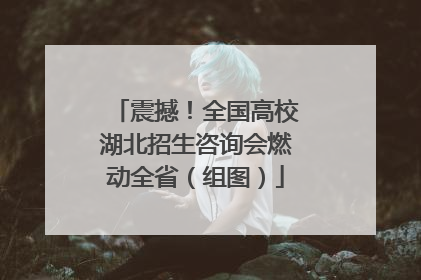 震撼！全国高校湖北招生咨询会燃动全省（组图）