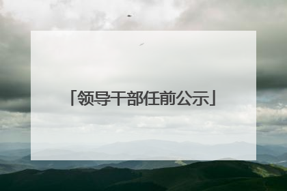 领导干部任前公示